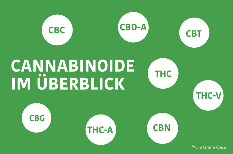 cbd cannabinoid im uberlick